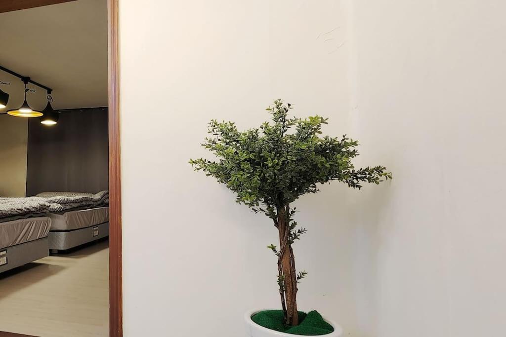 C2 White Linen House 2br Apartment Seoul